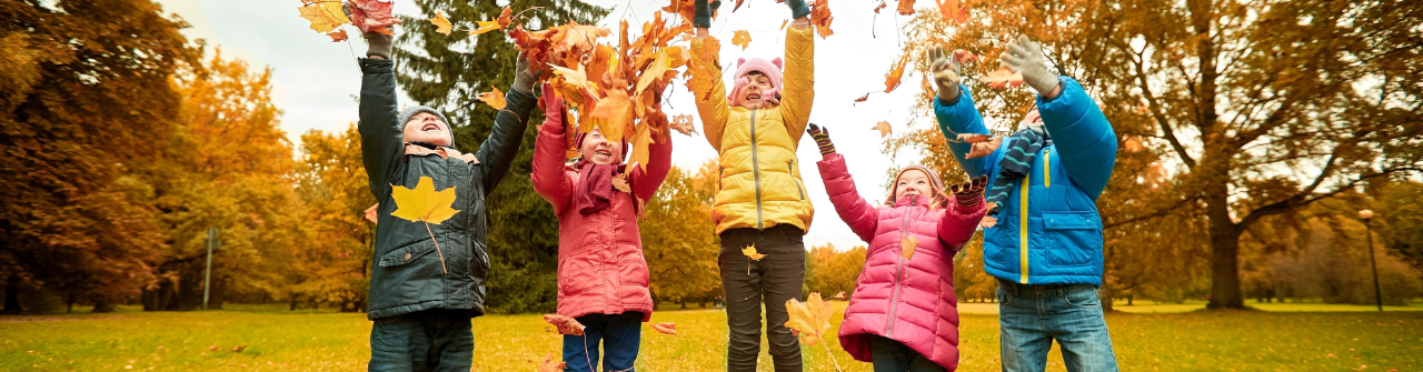 How to Organise Meal Planning After Summer Holidays