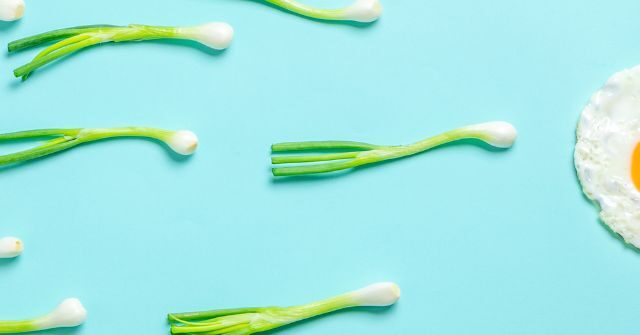 Nutrition and Fertility: What Does the Evidence Actually Say?